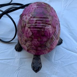 Turtle night light